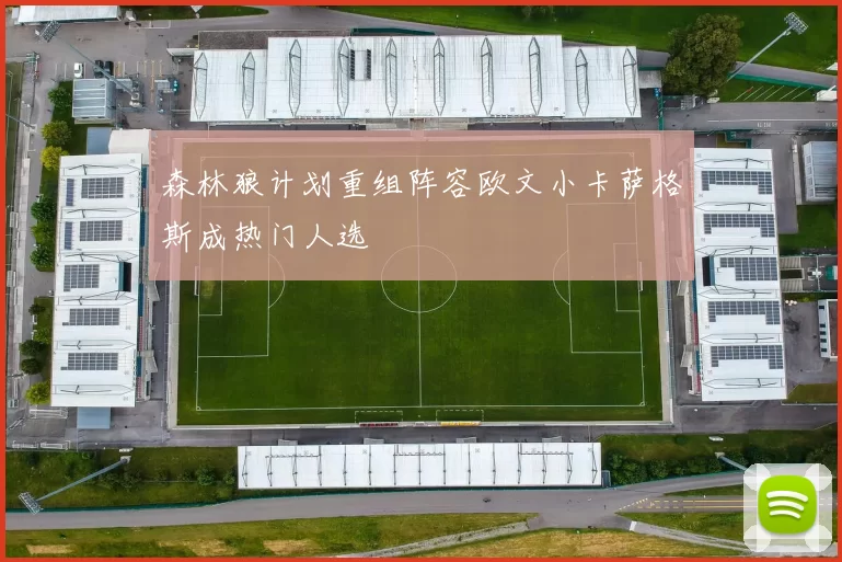 森林狼计划重组阵容欧文小卡萨格斯成热门人选