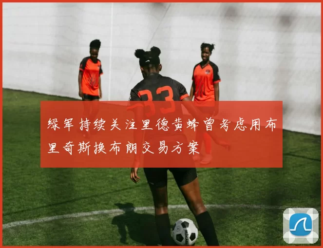 绿军持续关注里德黄蜂曾考虑用布里奇斯换布朗交易方案