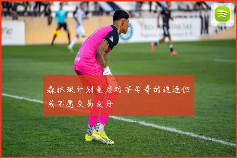 森林狼计划重启对字母哥的追逐但或不愿交易麦丹